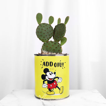 DSPL2201 Persistent Mickey (Bunny Ear Cactus)