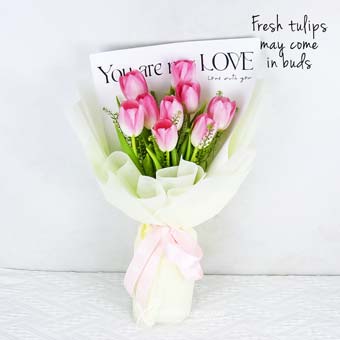 MDBQ2405 Petal Embrace (9 Pink Tulips)