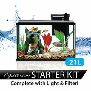 Graduation Gifts For Him - Mini aquarium