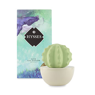 Graduation Gifts - Aromatherapy diffuser