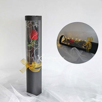 Butterfly Kisses (1 Red Rose with LED lights)
