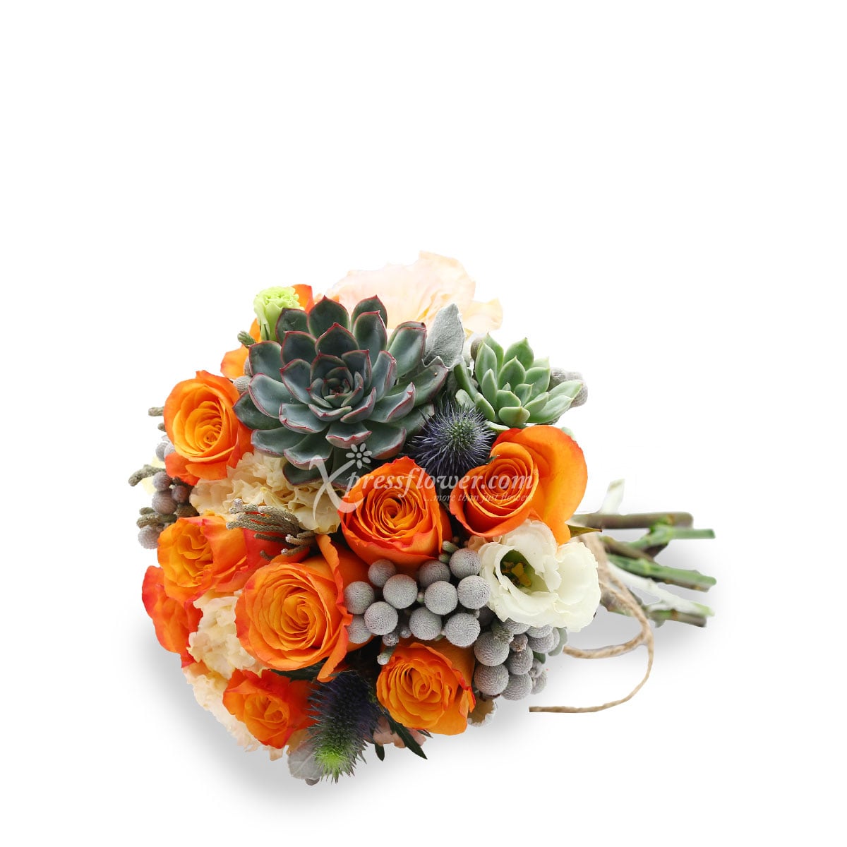 WB1805 Juicy Love Affair