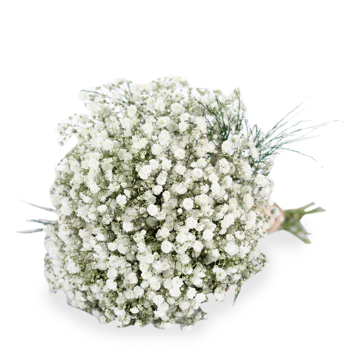WB1614 bridal bouquet