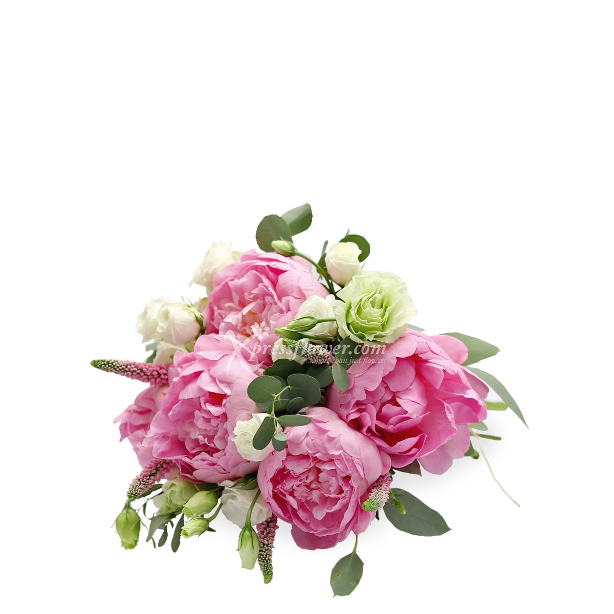 WB1901 Beauty of the Orient