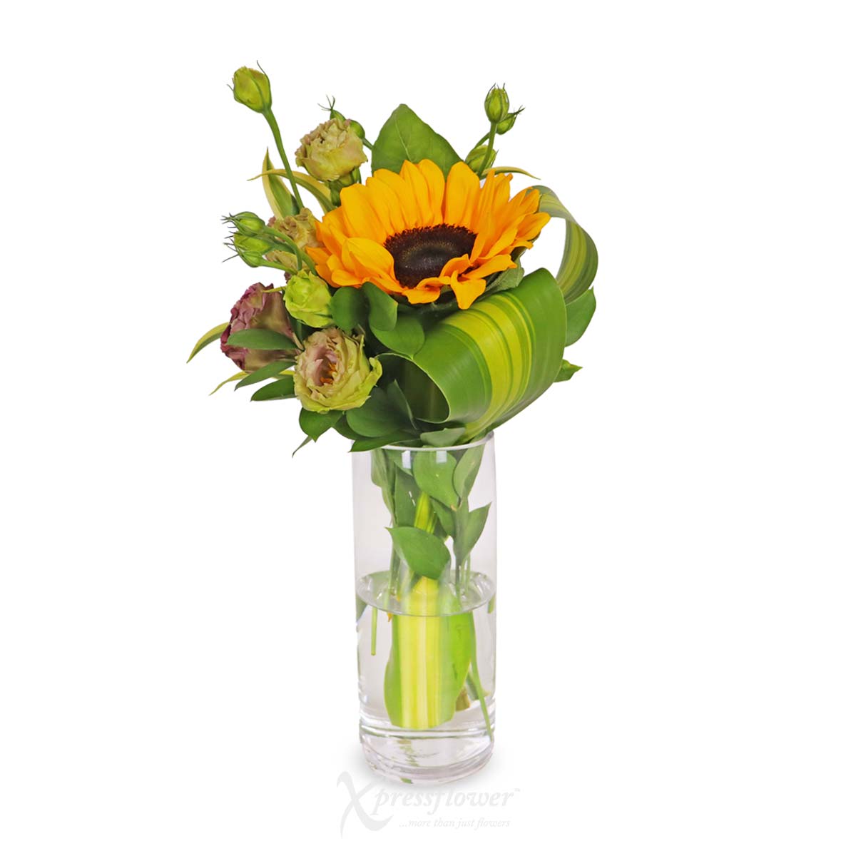 CW2302_Petal Pour Sunflower with Malbec 1b