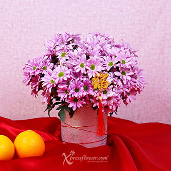 Essence of Vitality (CNY Flowers - Purple Pom Pom Chrysanthemum)