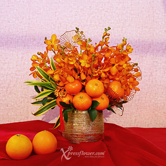 Prosperity Indulgence (CNY Flowers - Orange Mokara Orchids with Mini Mandarin Oranges)