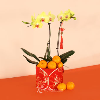 Success In Abundance (8pcs Mandarin Oranges,2 Yellow Orchids & Lucky Cat of Fortune Keychain)