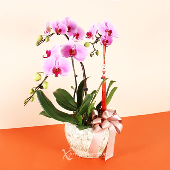 Blissful Longevity (3 stalks Purple Orchids with Mini Fortune Cat Charm)