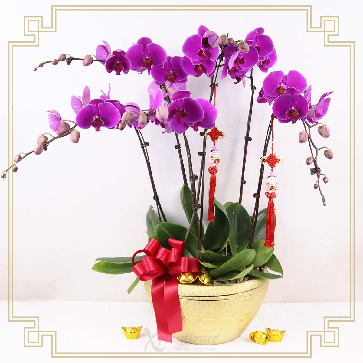 CNYO2548-overflowing-blessings-6-stalks-purple-orchids_1a