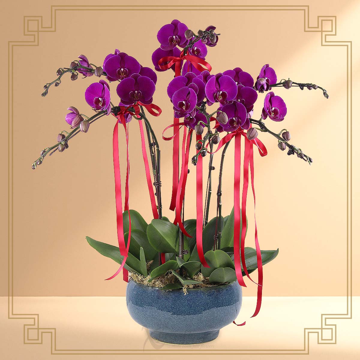 Wealth Flourish  (6 Stalk Purple Orchids)