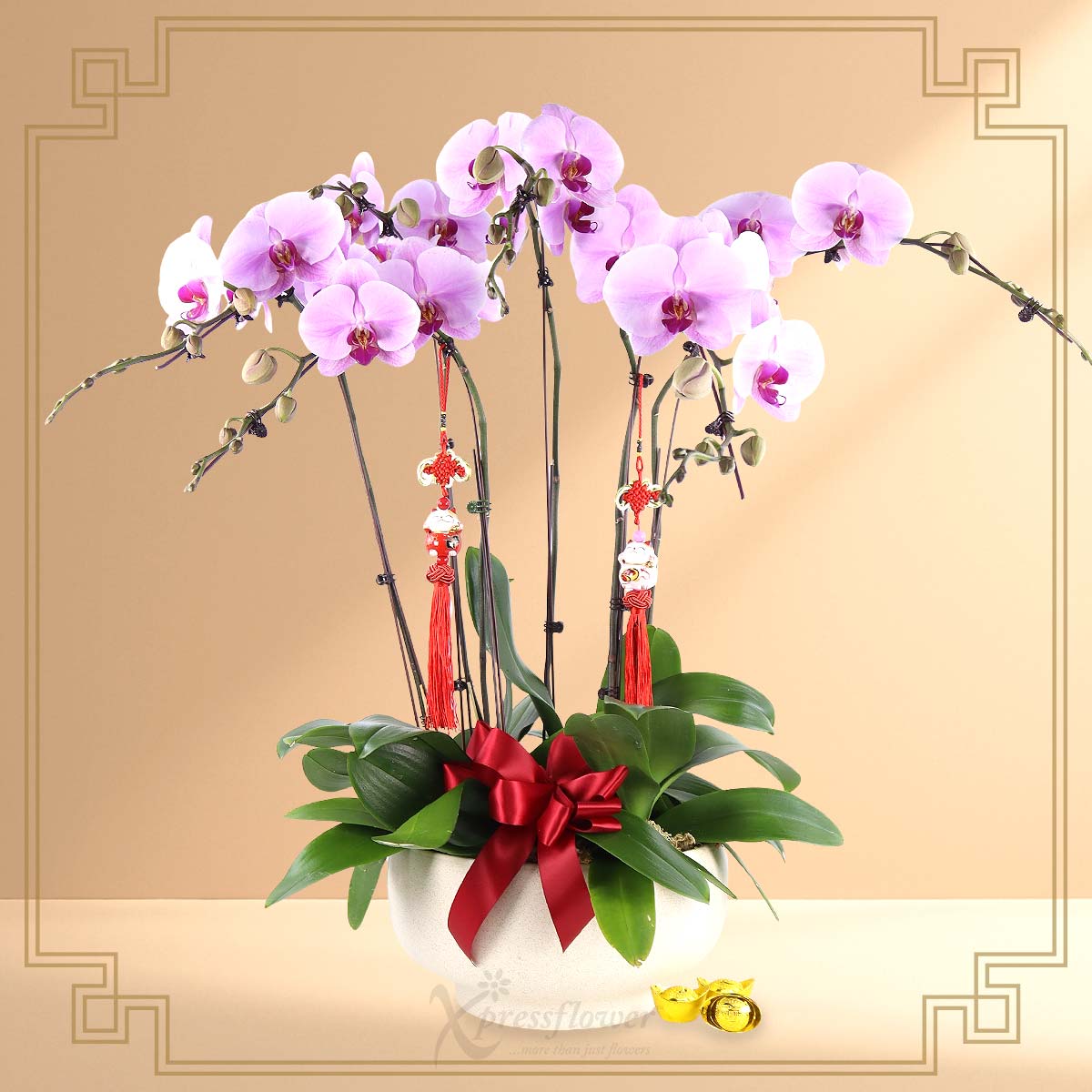 Pure Prosperity (6 Stalk Pink Orchids)