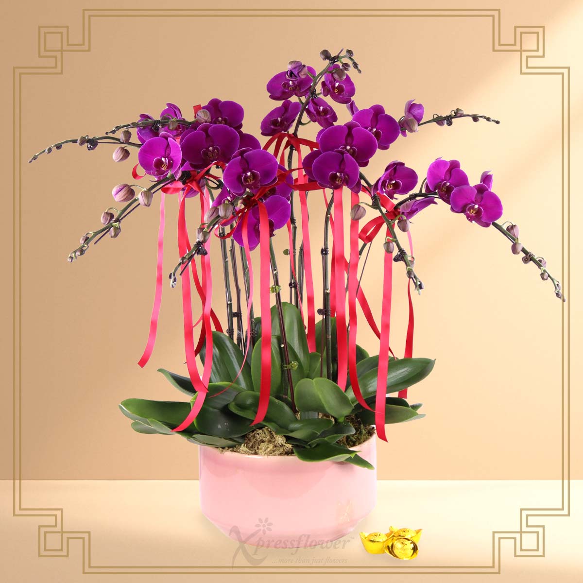 Purple Prestige (6 Stalk Purple Orchids)