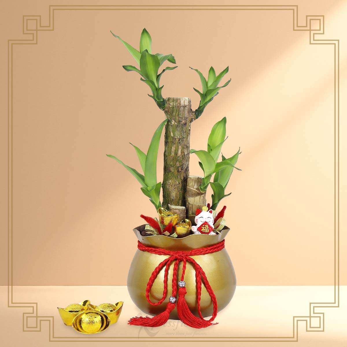 Bamboo Blessings (Dracaena Sanderiana with Fortune Cat)