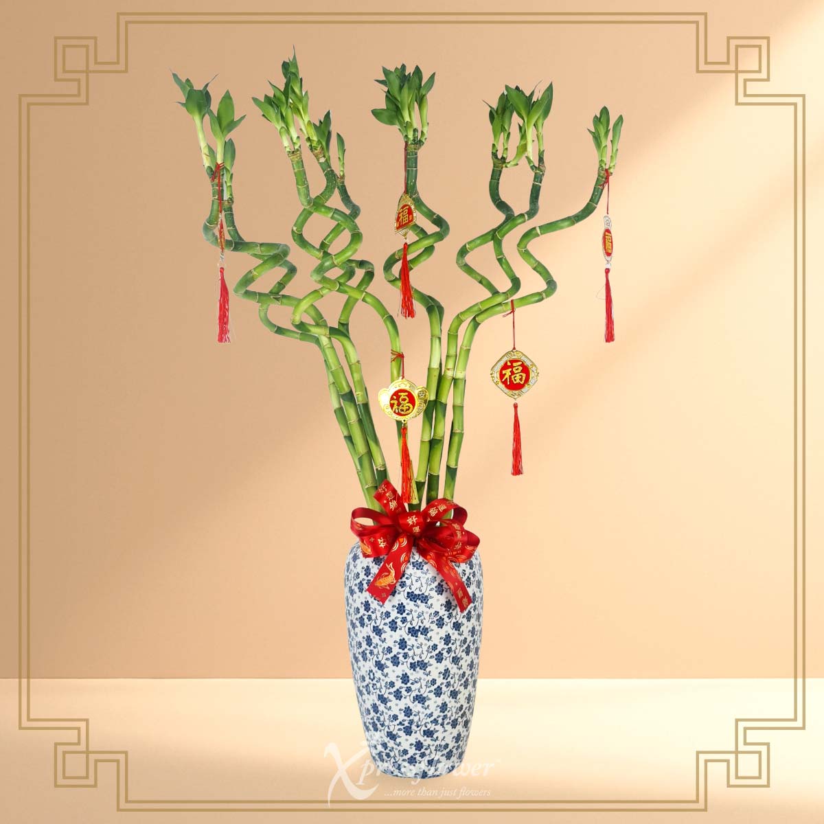 Prosperity Curly Bamboo (Curly Lucky Bamboo with CNY Tassels)