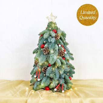 Christmas Invasion (50cm Mini Fresh Christmas Tree)