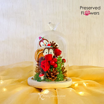 XMPR2243 Warm Orchard Christmas Preserved Flower Dome
