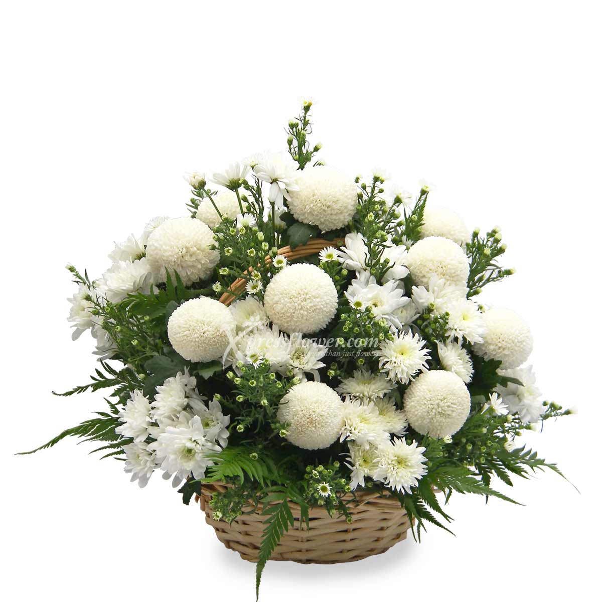 SCF1903 Tender Compassion Wreath Funeral Flower