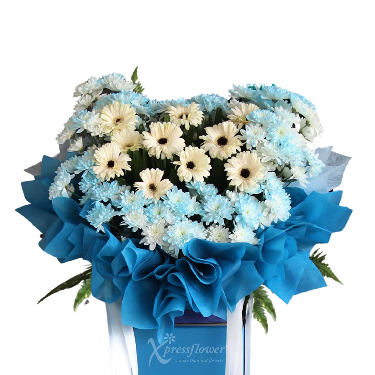 WSC2603_1b