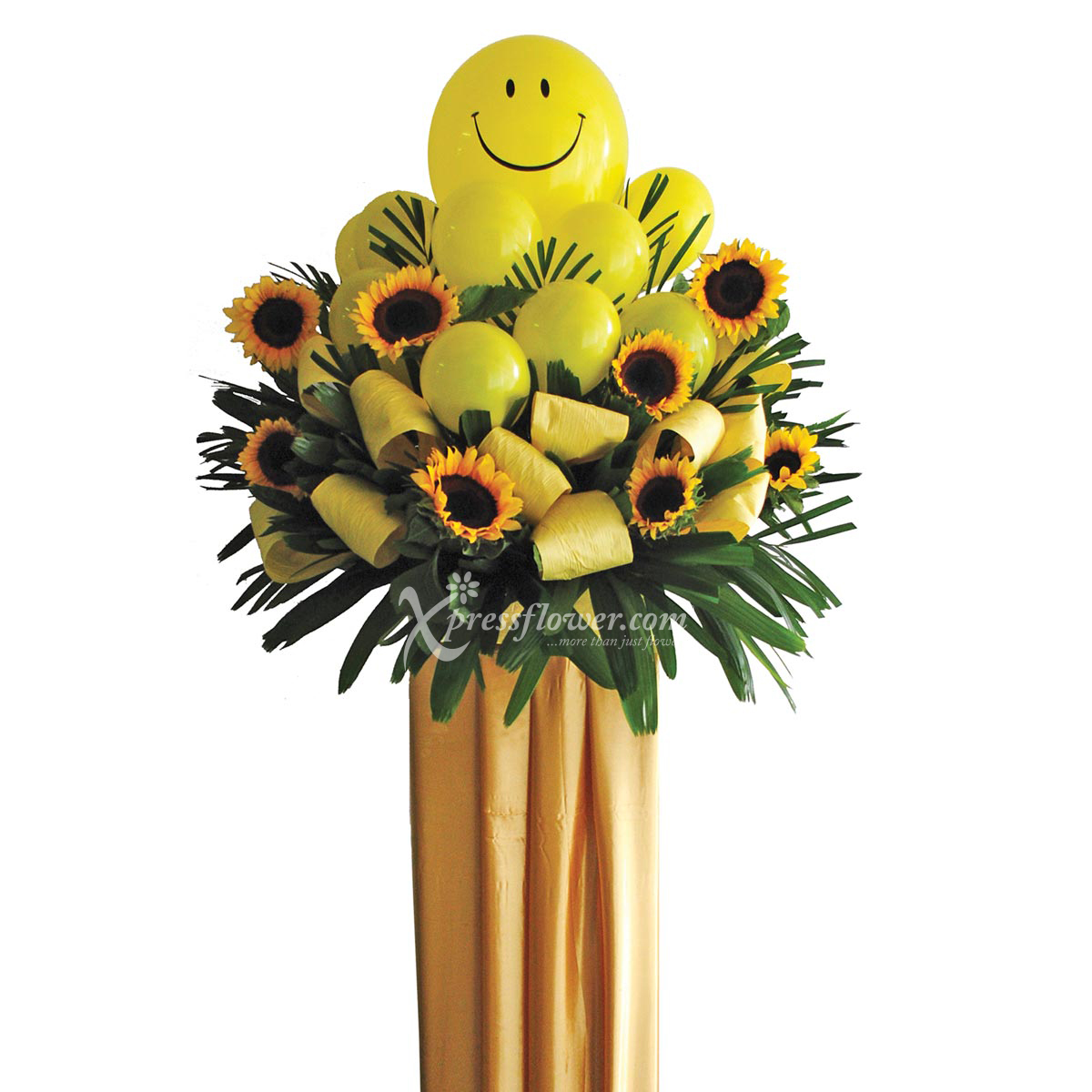 CS1120 Time To Cheer