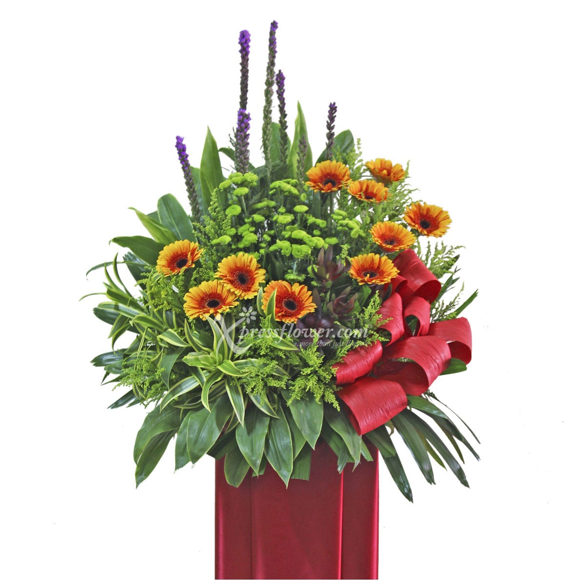 Fortuity Ahead (Grand Opening Congratulatory Stand)