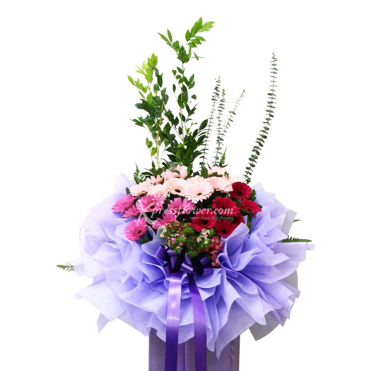 One Rewarding Stance (Grand Opening Congratulatory Stand)