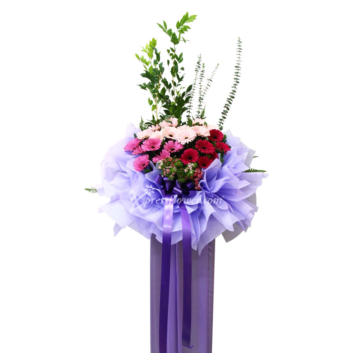 CS1409 One Rewarding Stance