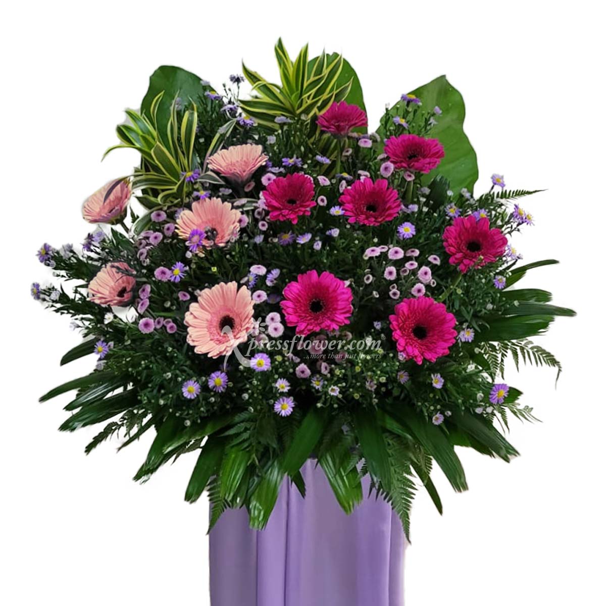 Stance of Magnificence (Grand Opening Congratulatory Stand)