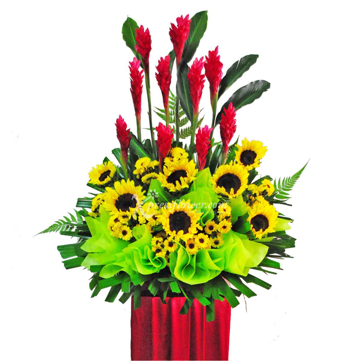 Golden Star (Grand Opening Congratulatory Stand)