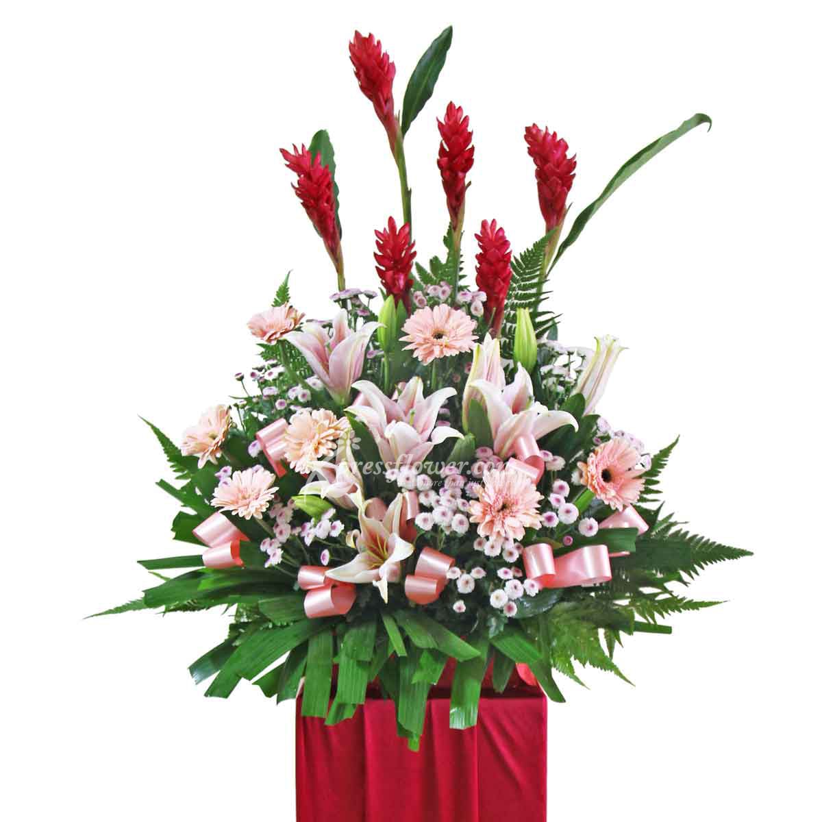 Triumphant Cheers (Grand Opening Congratulatory Stand)