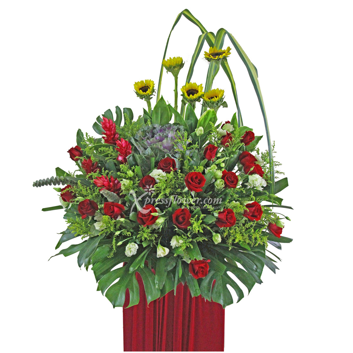 A Prized Premium (Grand Opening Congratulatory Stand)