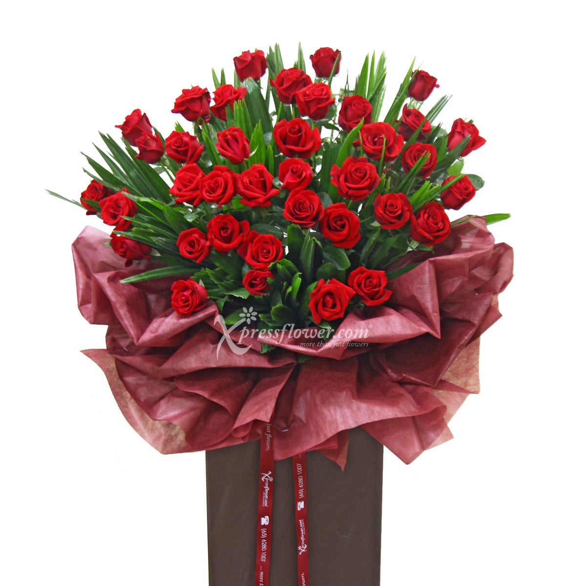 Matchless Exploit (Grand Opening Congratulatory Stand)