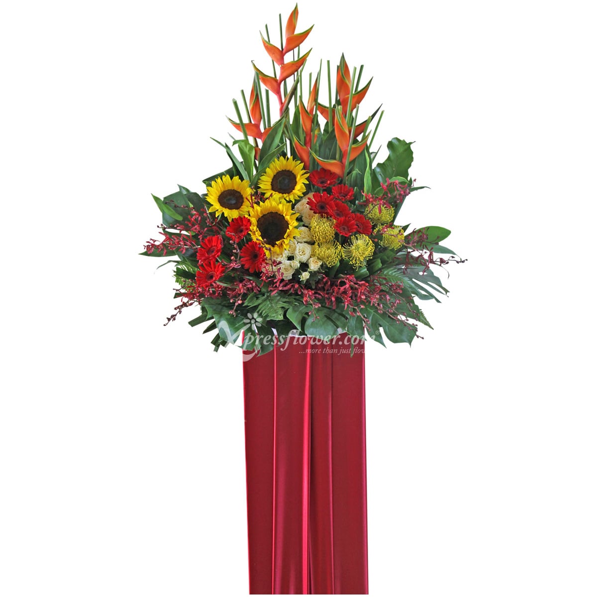 CS1612 Aspiring Fortuity