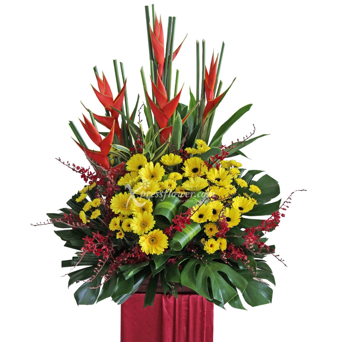 Extraordinary Feat (Grand Opening Congratulatory Stand)