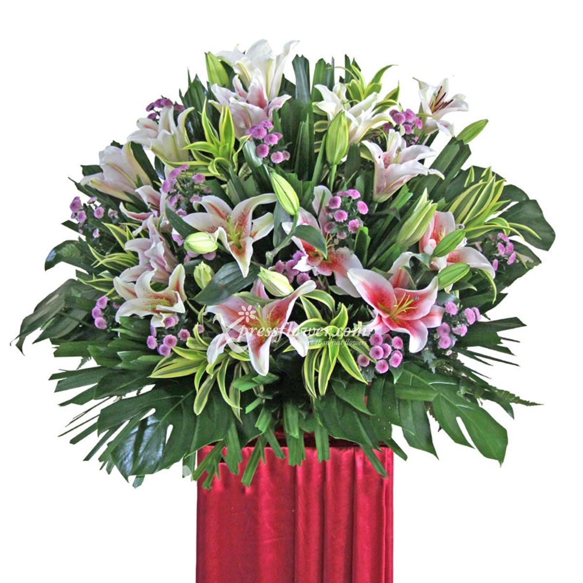 Energetic Endeavor (Grand Opening Congratulatory Stand)