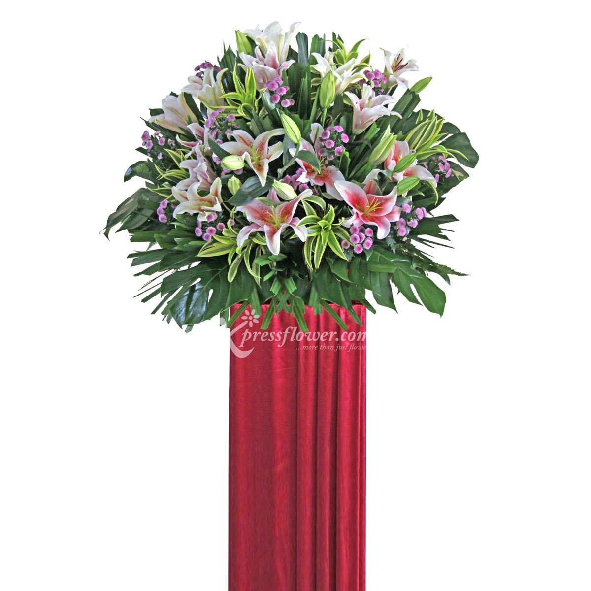 CS1707 Energetic Endeavor