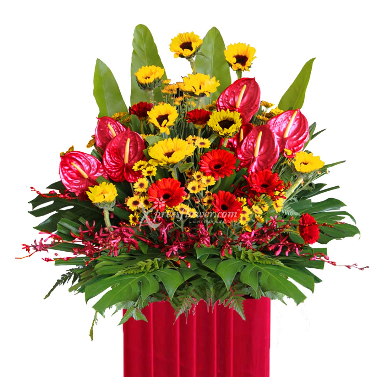 Deserving Commendation (Grand Opening Congratulatory Stand)