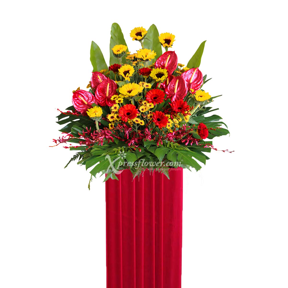 CS1713 Deserving Commendation B