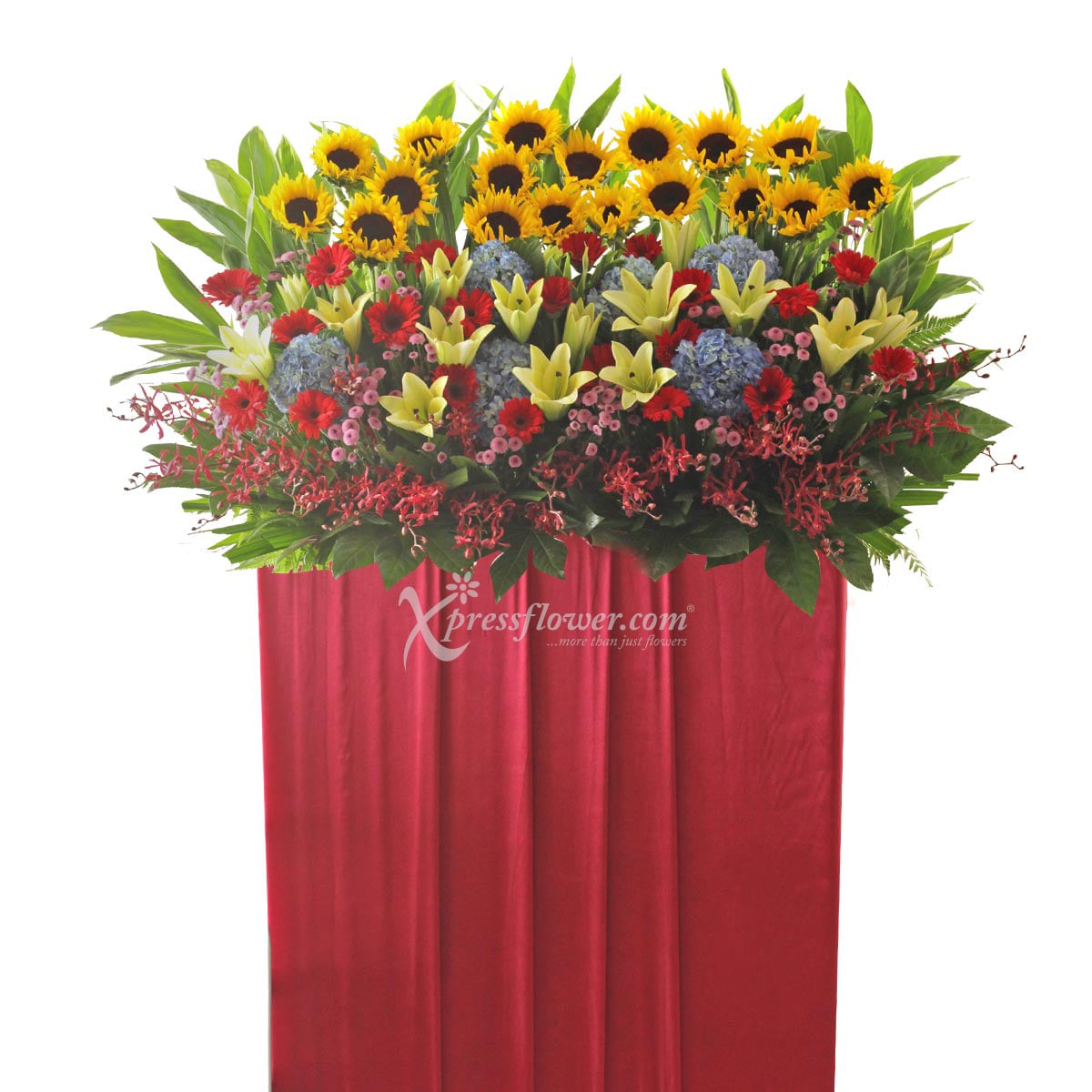 CS1714 Phenomenal Success congratulatory flower opening stand