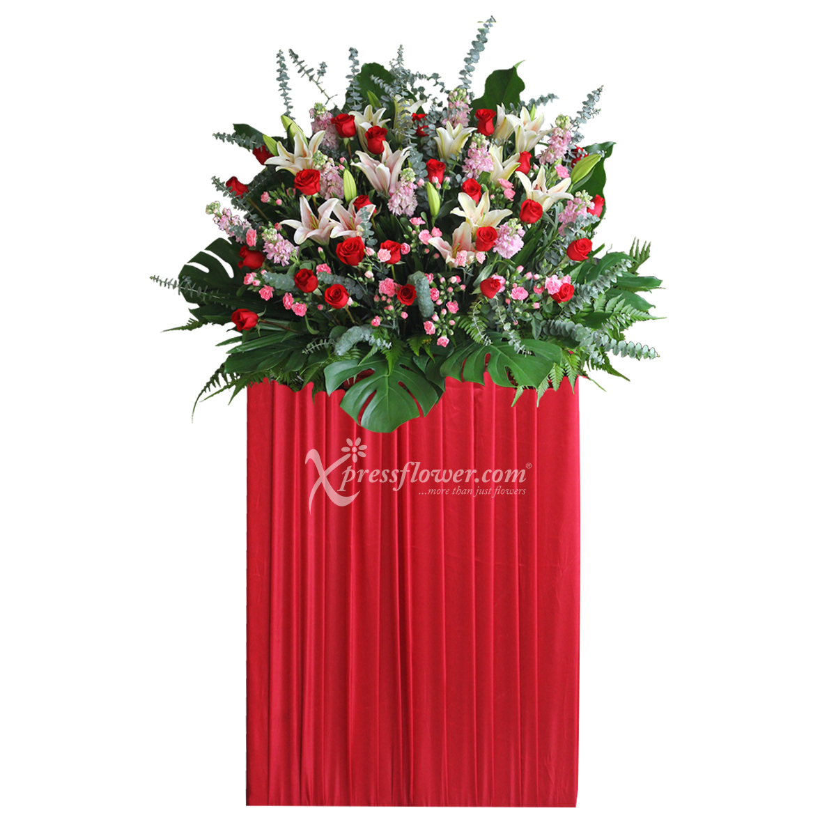 CS1801 Jubilant Felicitations