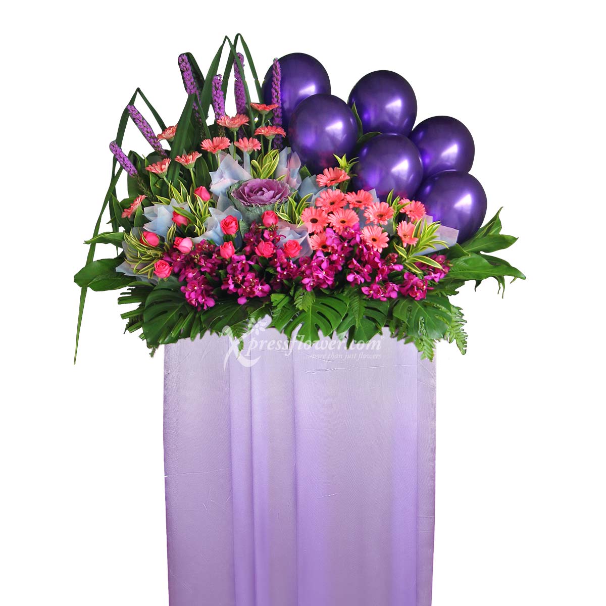 CS2003 Lavish Affair 1b 080523