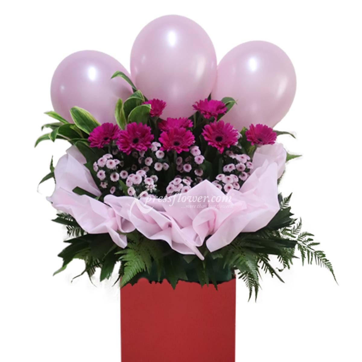 Purple Vita  (Grand Opening Congratulatory Stand)