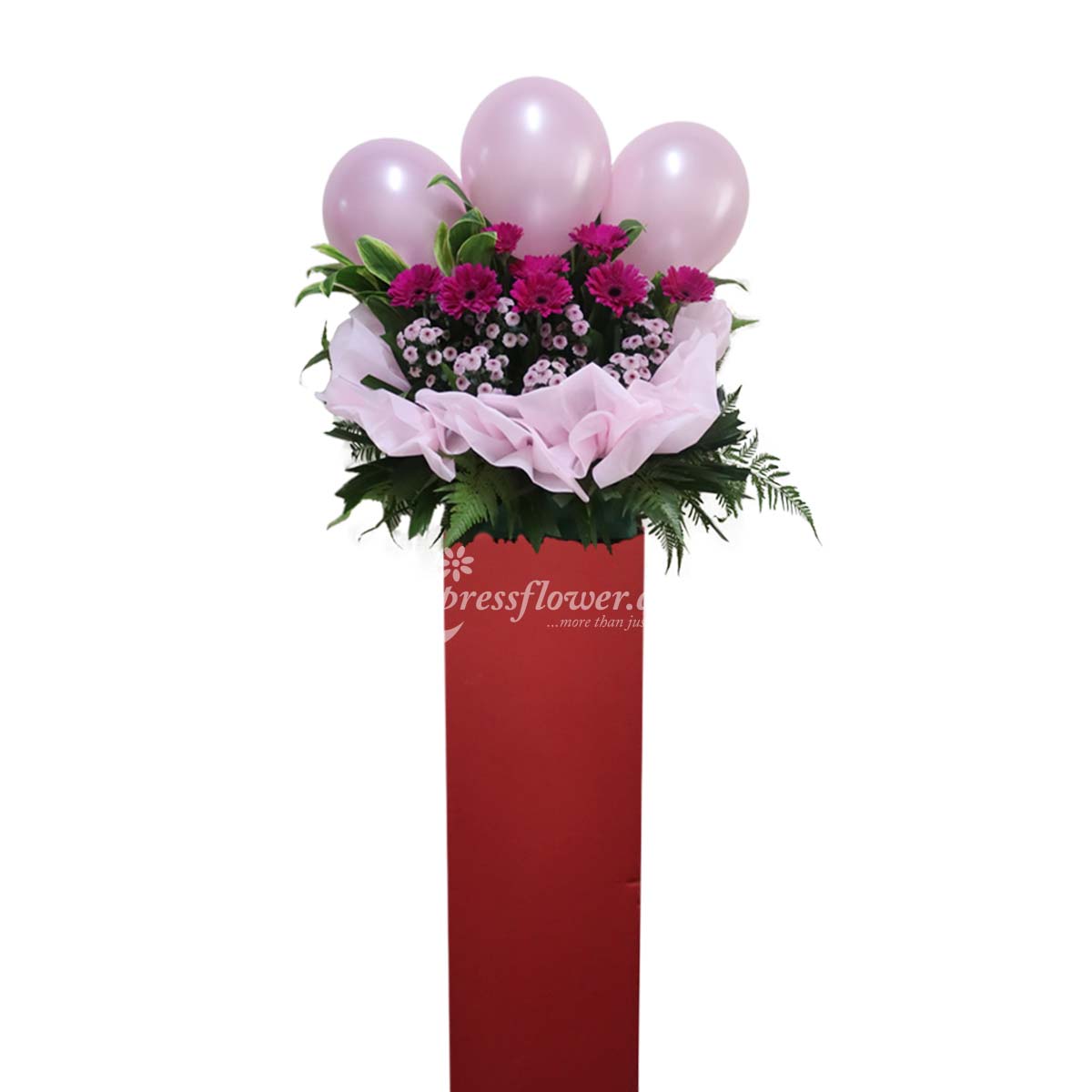 CS2201 Congrats Flower Stand B