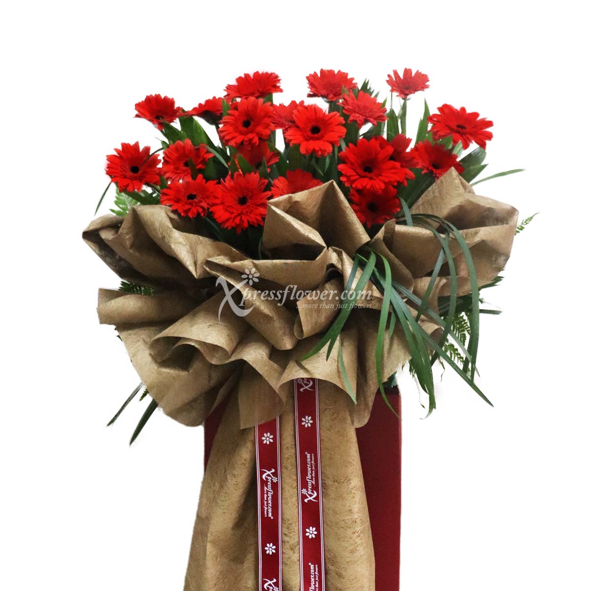 Jolly Crimson  (Grand Opening Congratulatory Stand)