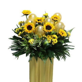 Sunflower Wonder  (Grand Opening Congratulatory Stand)