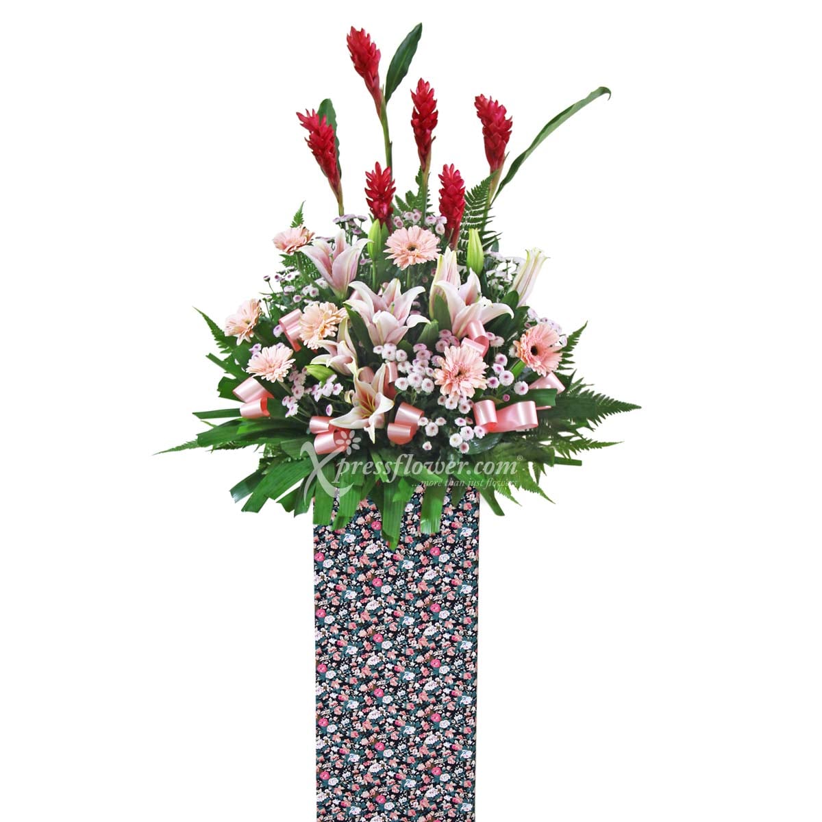 CSP1609_B_edit_10MAR22