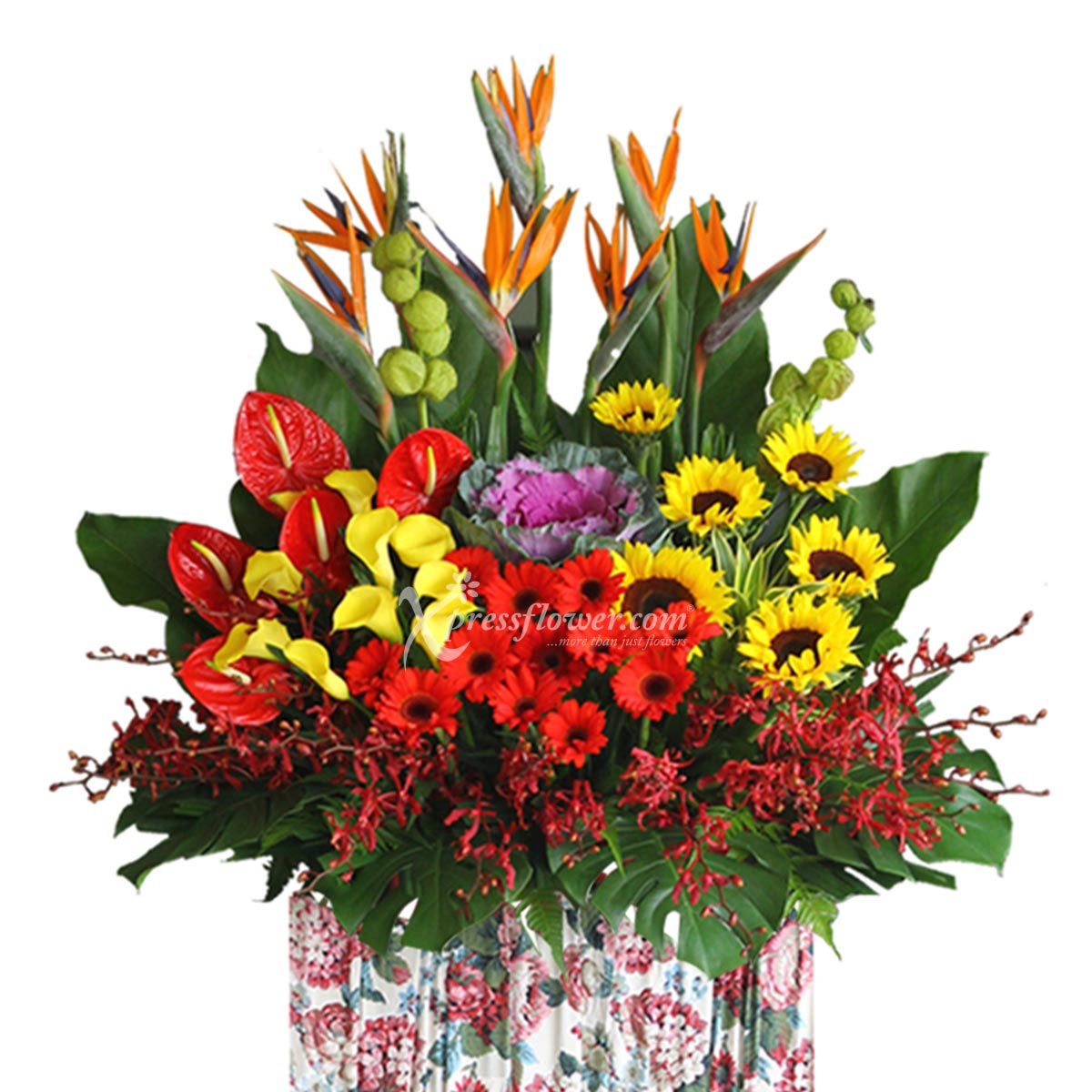 Paragon of Success (Premium Grand Opening Congratulatory Stand)