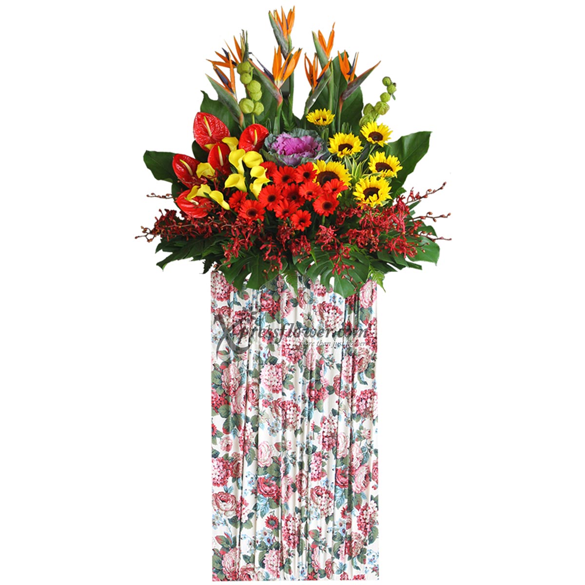 CSP1801 Paragon of Success