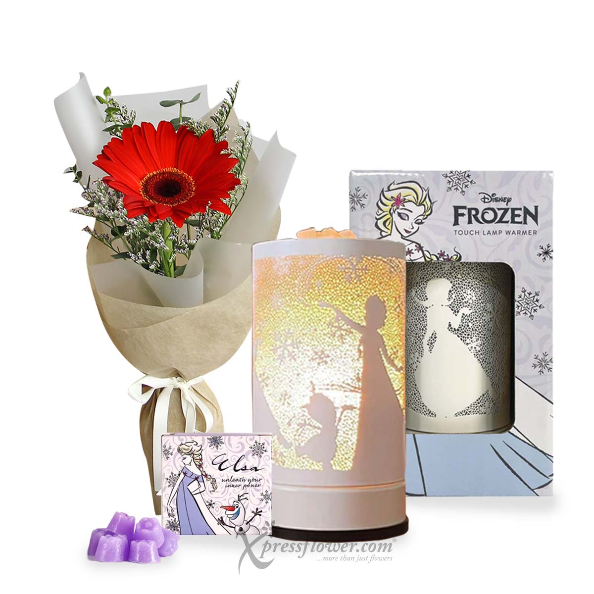 Immense Devotion (1 Red Gerbera with Disney Touch Warmer and Candle Bundle)
