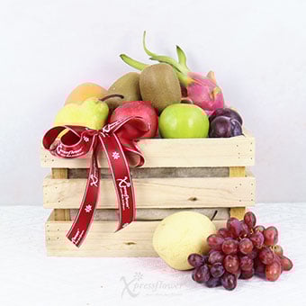 Daily Glow (Fruits Basket)